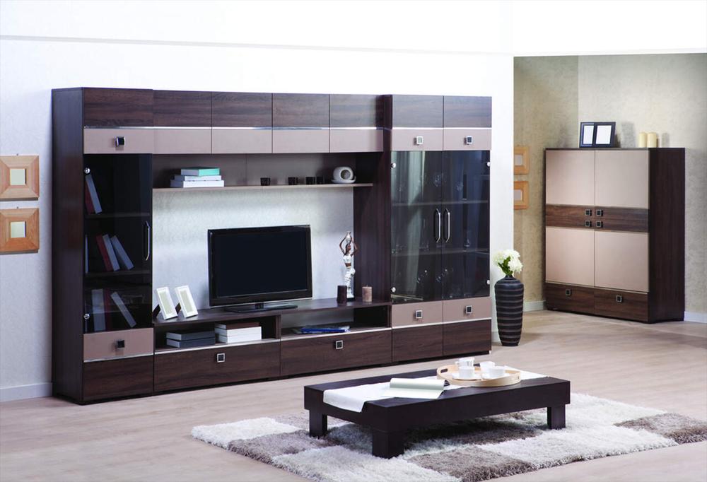 wall with tv unit